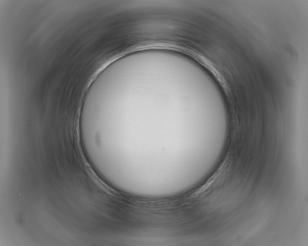 X0000112981417200908270909