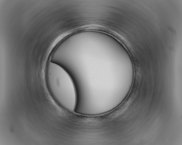 X0000112981418200908270909