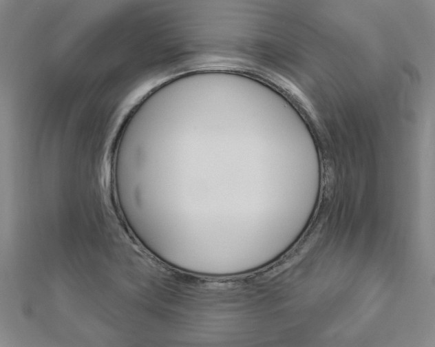 X0000112981419200908270909