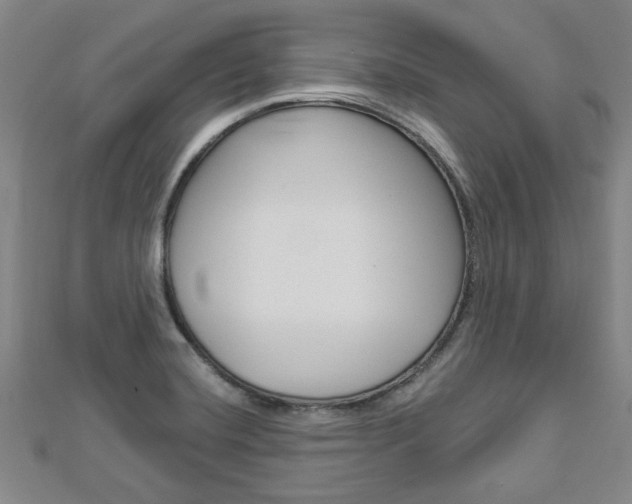 X0000112981420200908270909