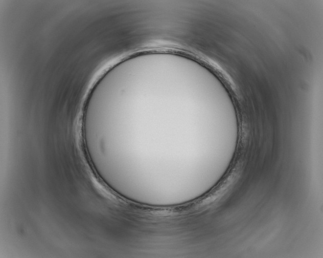 X0000112981421200908270909