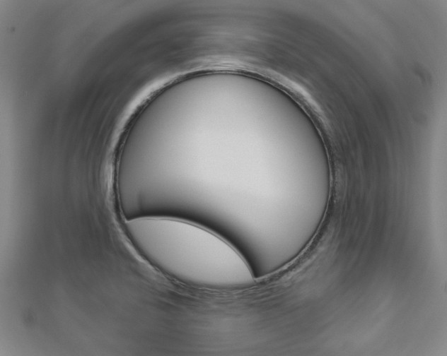 X0000112981424200908270909