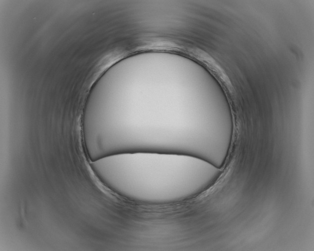 X0000112981425200908270909