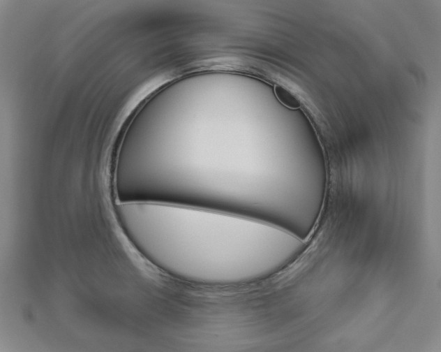 X0000112981426200908270909