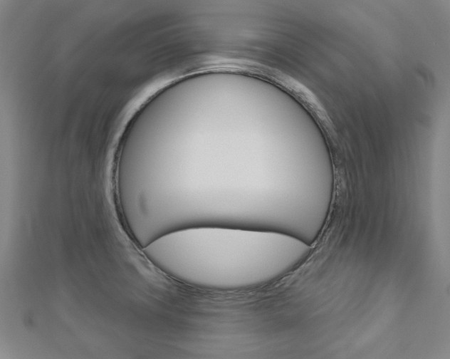 X0000112981427200908270909