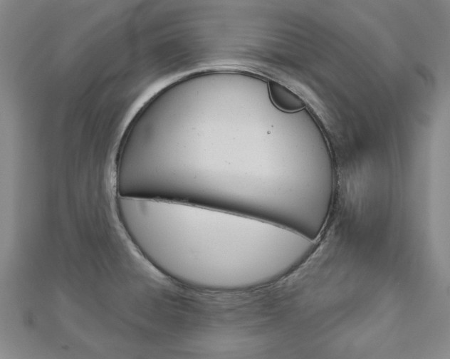 X0000112981428200908270909