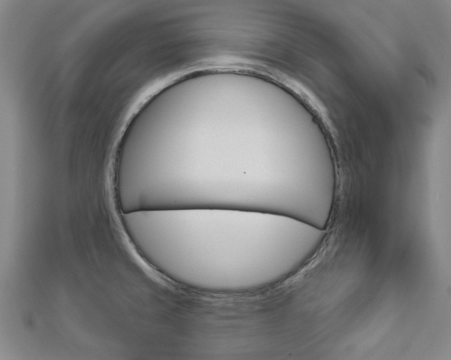 X0000112981429200908270909