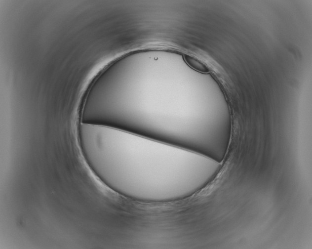 X0000112981430200908270909