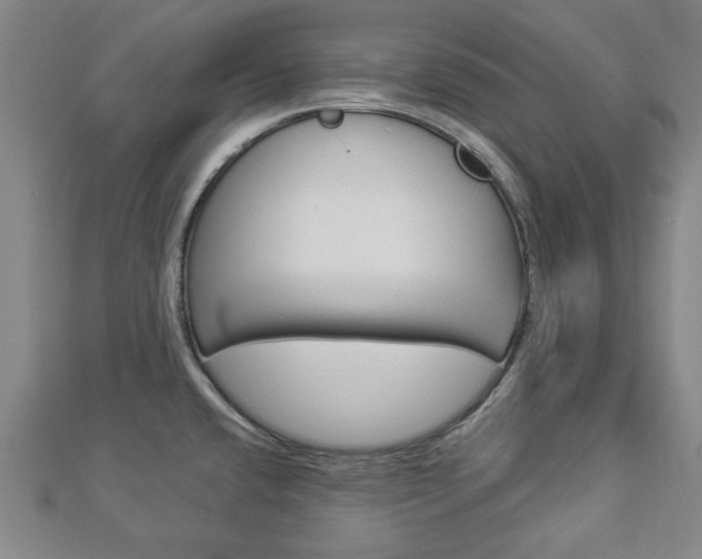 X0000112981432200908270909