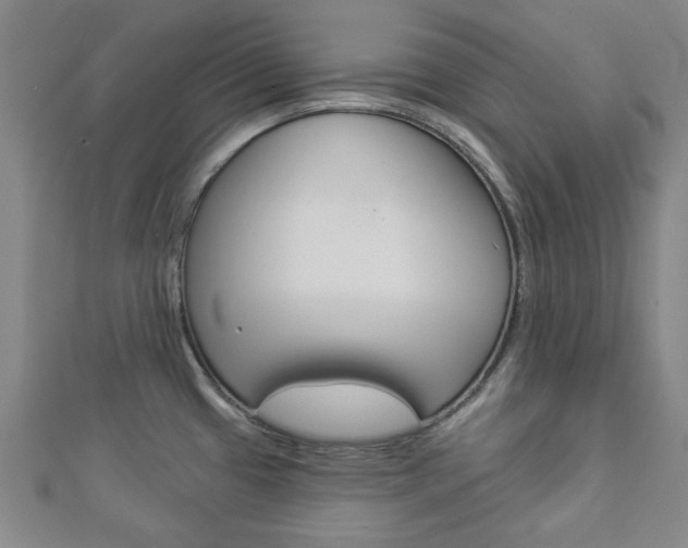 X0000112981433200908270909