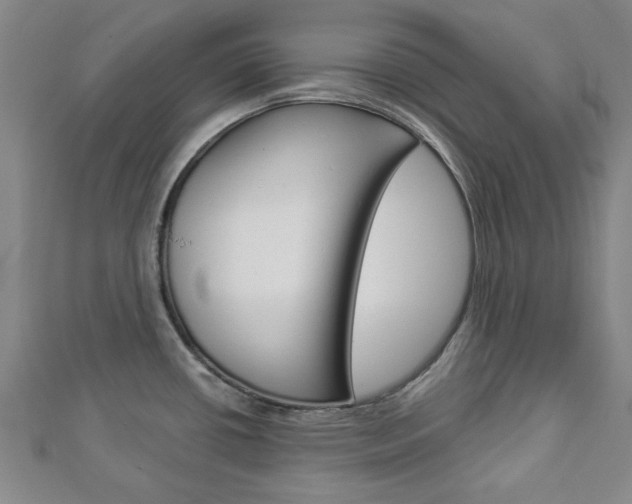 X0000112981434200908270909