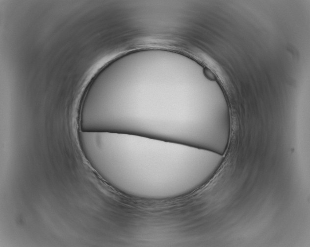 X0000112981435200908270909