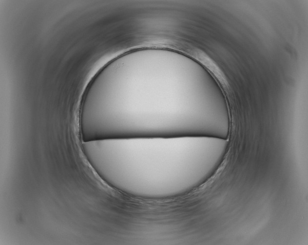 X0000112981436200908270909
