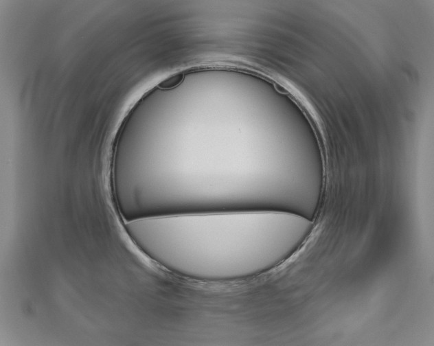 X0000112981437200908270909