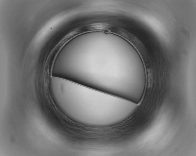 X0000112981438200908270909