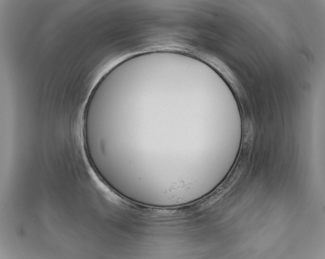 X0000112981439200908270909