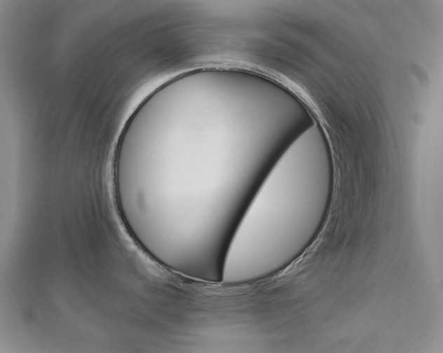X0000112981440200908270909
