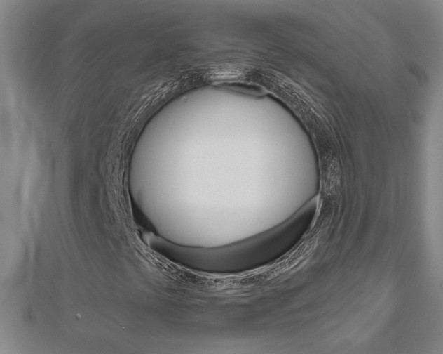 X0000112981441200908270908
