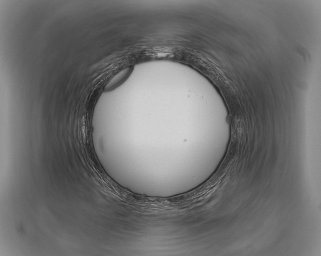 X0000112981442200908270908