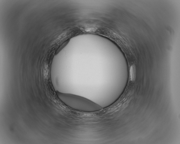 X0000112981443200908270908
