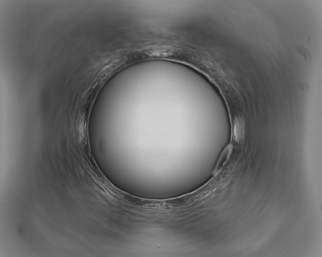 X0000112981444200908270908