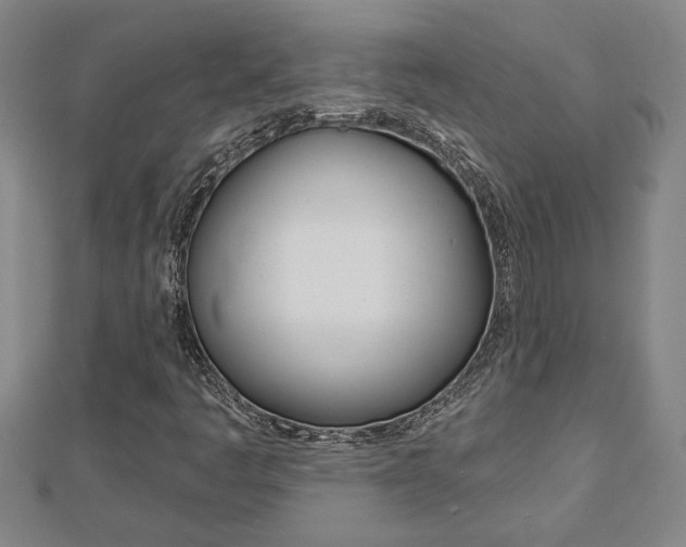 X0000112981445200908270908