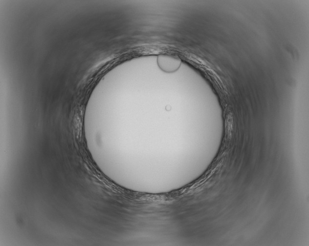 X0000112981446200908270908