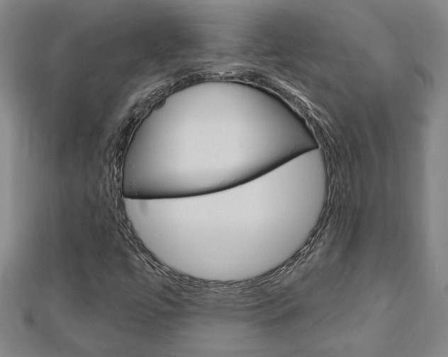 X0000112981447200908270908