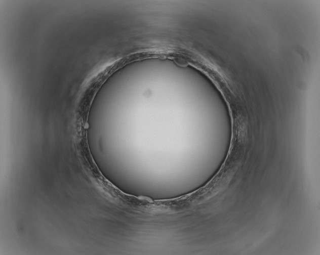 X0000112981448200908270908