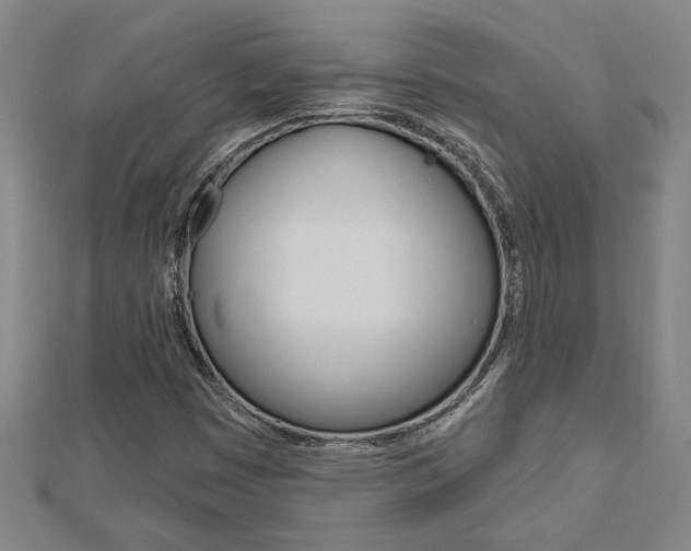 X0000112981449200908270908