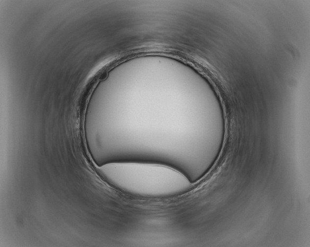 X0000112981450200908270908