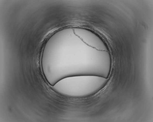 X0000112981451200908270908