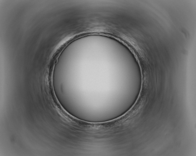 X0000112981452200908270908