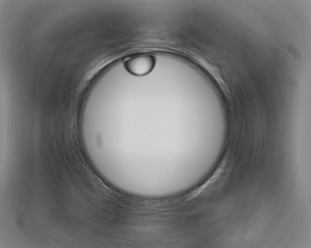 X0000112981453200908270908