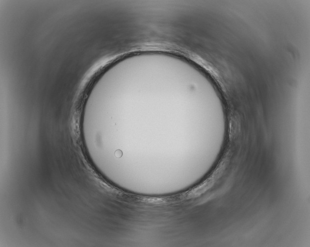 X0000112981454200908270908