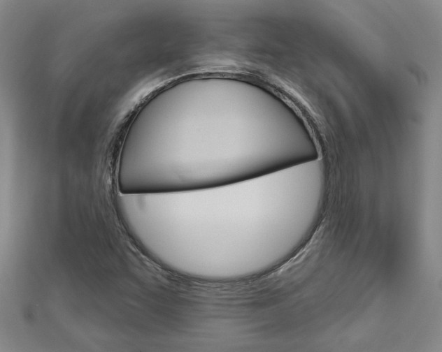 X0000112981455200908270908