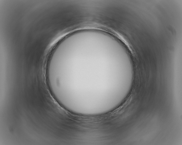 X0000112981456200908270908