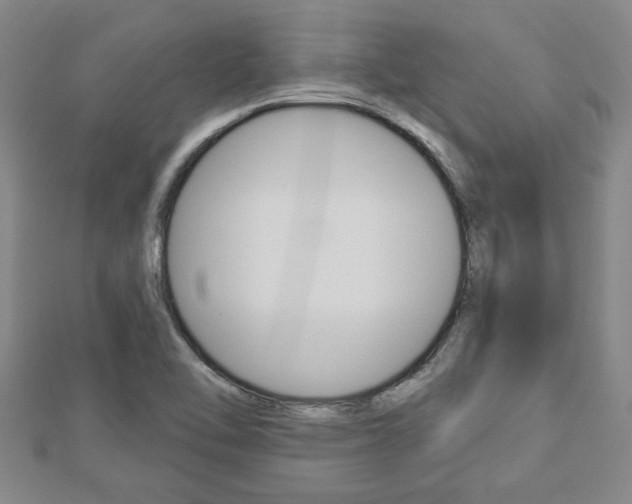 X0000112981462200908270908