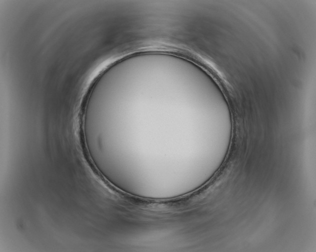 X0000112981463200908270908
