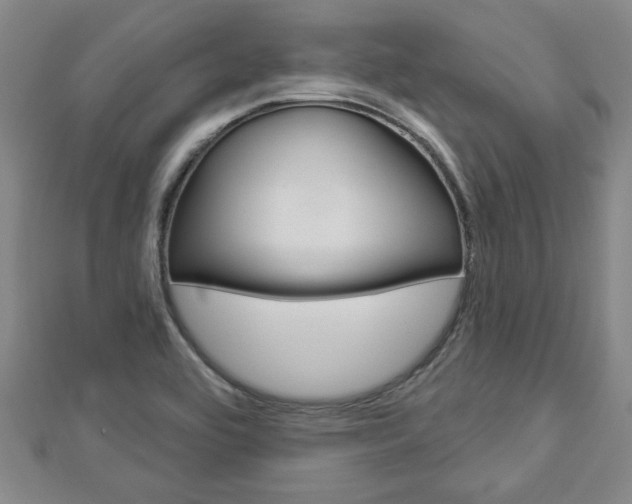 X0000112981464200908270908
