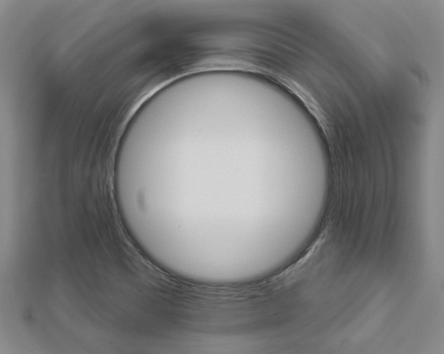 X0000112981465200908270908