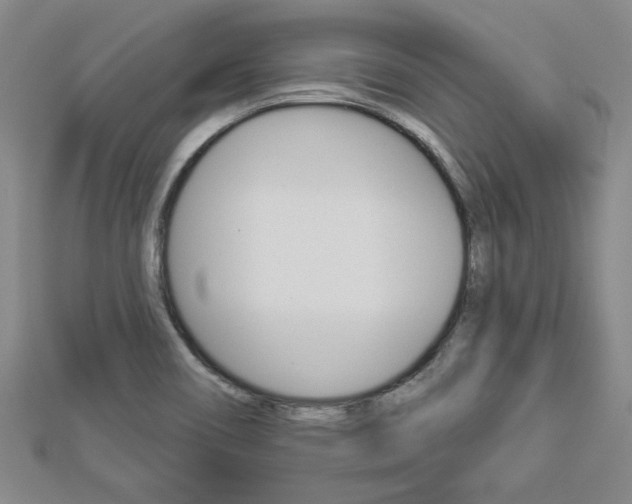 X0000112981466200908270908