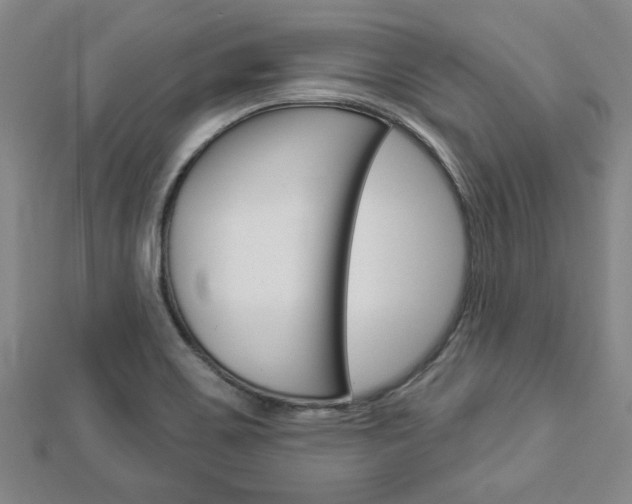 X0000112981467200908270908