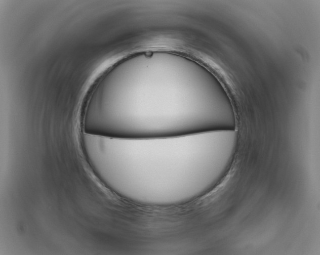 X0000112981469200908270908