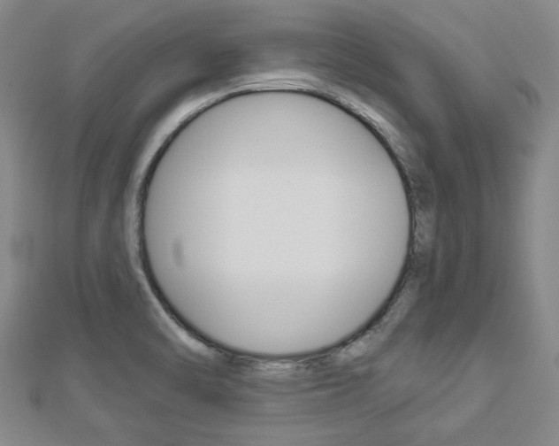 X0000112981470200908270908
