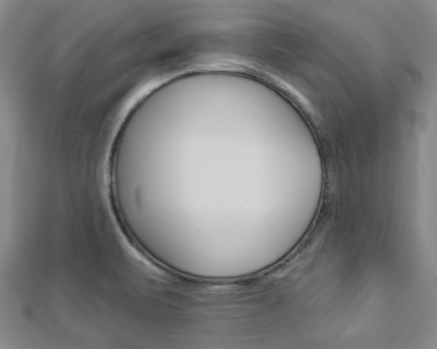 X0000112981471200908270908