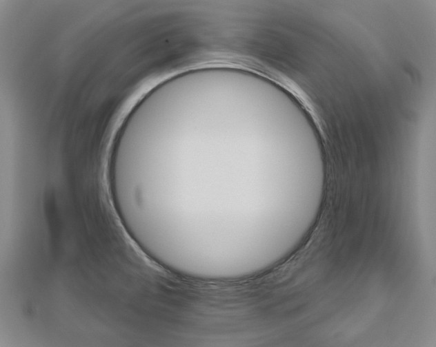 X0000112981472200908270908