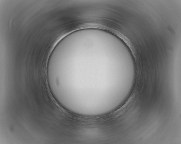 X0000112981473200908270908