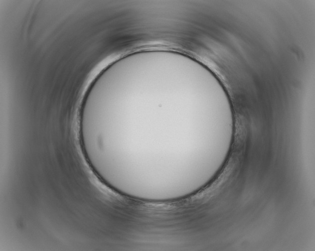 X0000112981474200908270908