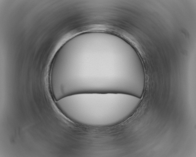 X0000112981475200908270908